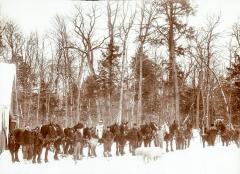 Photograph, teams of horses and drivers