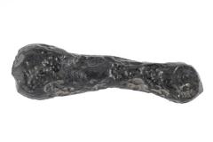 Tektite 