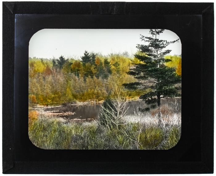 Lantern Slide, Nature Scene
