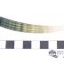 Mollusk Shell, Dentalium Elephantinum