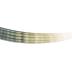Mollusk Shell, Dentalium Elephantinum
