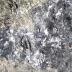 Chalcopyrite and Galena