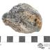 Chalcopyrite and Galena