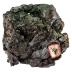 Bornite, Covellite, Chalcopyrite, and Chalcocite