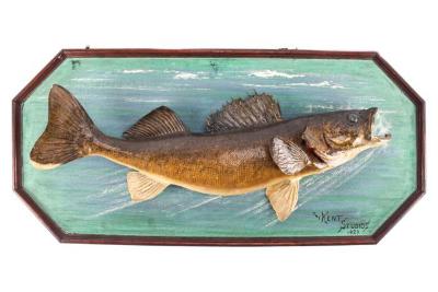 Walleye (Mount)