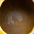 Pottery Piece, Roger B. Chaffee Archive Collection #6