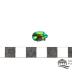 Scarab Beetle  