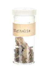 Vial, Digitalis