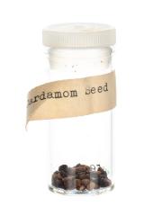 Vial, Cardamom Seeds