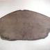 Grand Rapids Meteorite