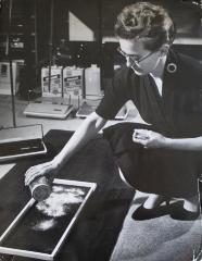 Photograph, Bissell Inc