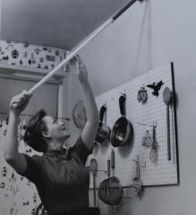 Photograph, Bissell Inc