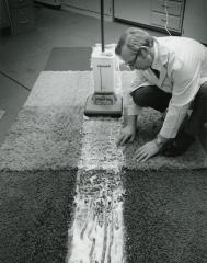 Photograph, Bissell Inc