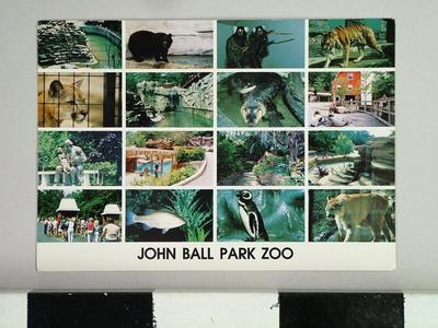 Postcard, John Ball Park Zoo