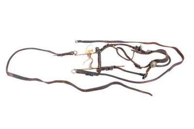 Bridle