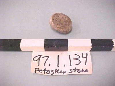Petoskey Stone, Unpolished