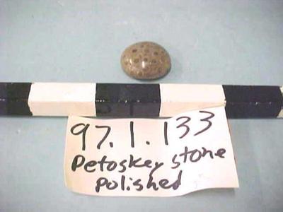 Petoskey Stone, Polished