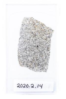 Allegan Meteorite (thin section)  