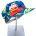 Hat, Festival of the Arts