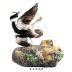 Bufflehead (mount)