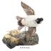 Bufflehead (mount)
