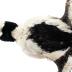 Bufflehead (mount)