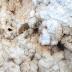 Speleothem