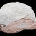 Stromatolite 