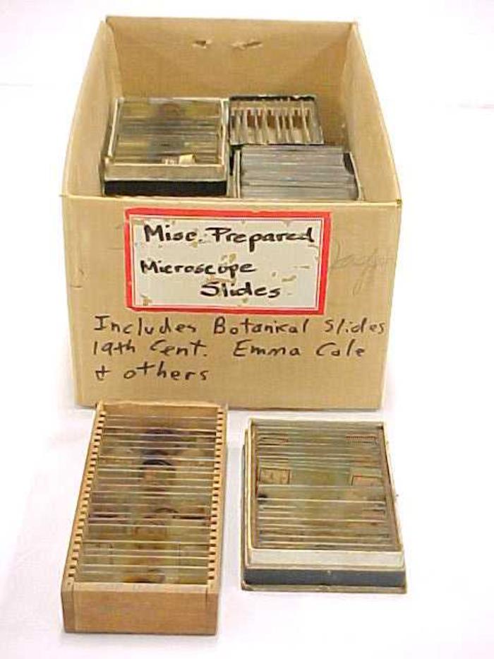 Microscope Slides