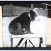 Lantern Slide, Cub