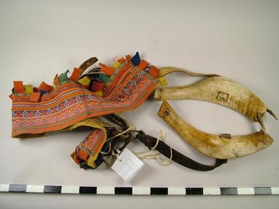 Collar, Reindeer