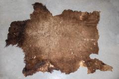 Buffalo Robe