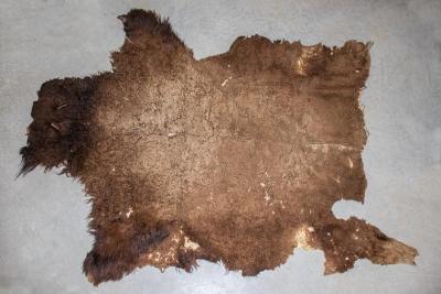 Buffalo Robe