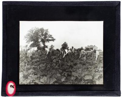 Lantern Slide, Tuskegee Institute