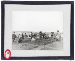 Lantern Slide, Tuskegee Institute 