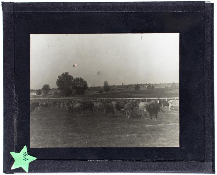 Lantern Slide, Tuskegee Institute