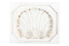 Latex Mold
