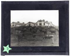 Lantern Slide, Tuskegee Institute