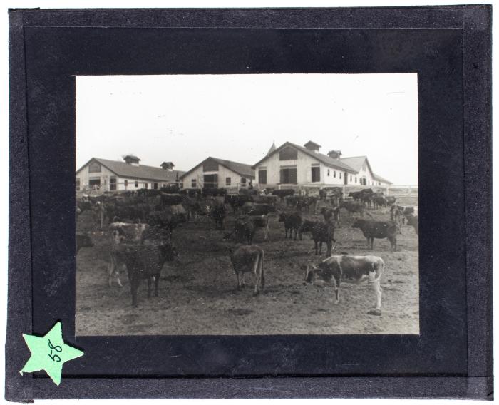 Lantern Slide, Tuskegee Institute