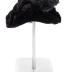 Perch Hat