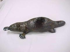 Duck Billed Platypus Model Reproduction