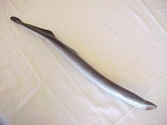 Model Sea Lamprey Specimen