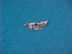 Pin/brooch