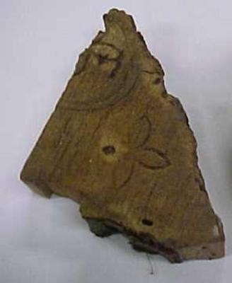 Log End Portion
