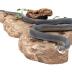 Blue Racer