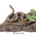 Western Fox Snake (mount)