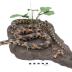 Western Fox Snake (mount)