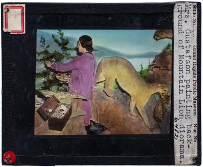 Lantern Slide, Painting Mountain Lion Exhibit