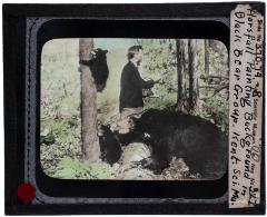 Lantern Slide, Painting Black Bear Exhibit