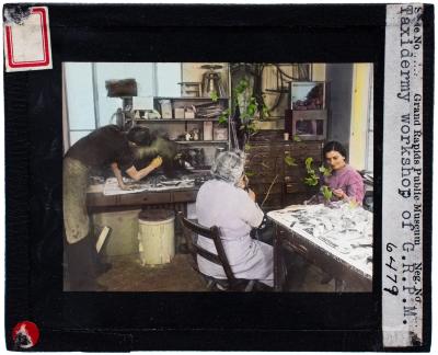Lantern Slide, Taxidermy Workshop